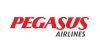 pegasus airlines logo